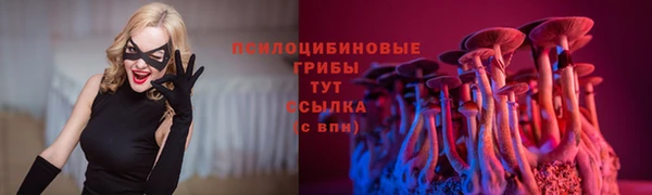 трава Дмитровск