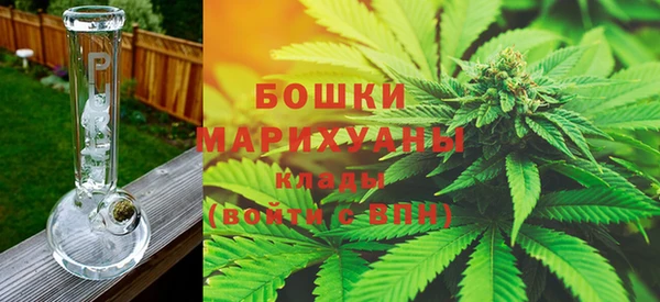 гашик Дмитриев