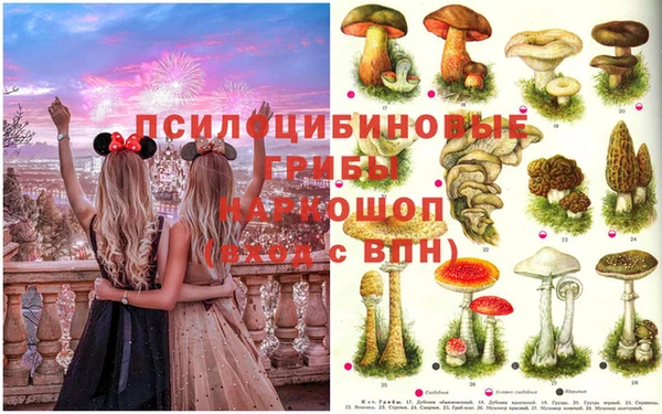 гашик Дмитриев