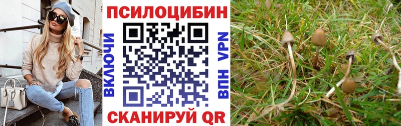 Галлюциногенные грибы ЛСД  Купить закладки  Кимовск 